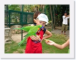Bird Feeding (2) * 1024 x 768 * (143KB)